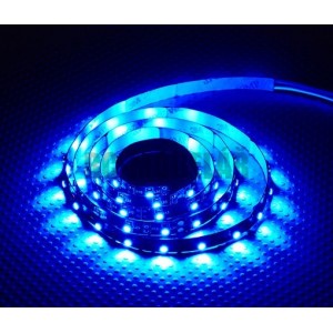 LED páska modrá | 60ks/m | 3528 | 4.8W/m | 12V DC/